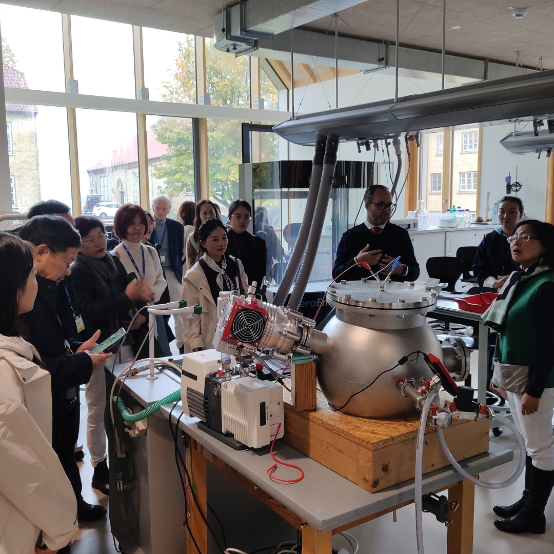 A group of Conference attendees on a visit to the Louisenlund Foundation school.