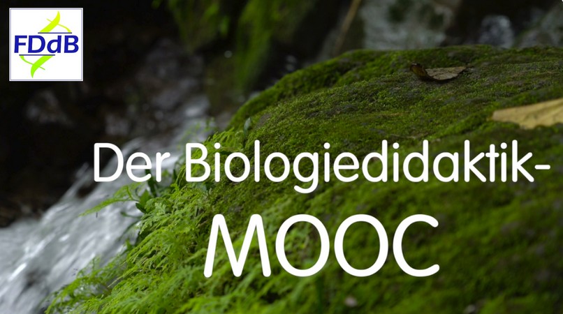 IPN beteiligt sich am Biologiedidaktik-MOOC