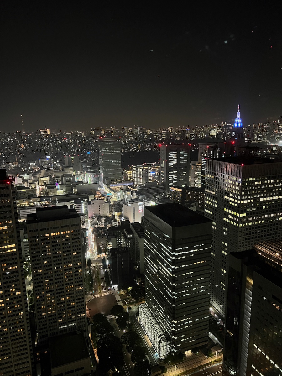 Tokio, Gastgeberstadt der IPhO 2023, bei Nacht. 