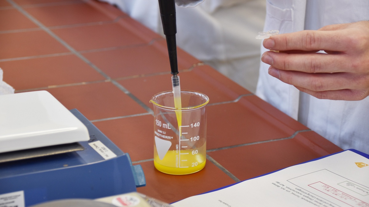 Mittels einer Pipette wird eine gelbe Flüssigkeit in ein Reagenzglas gefüllt.