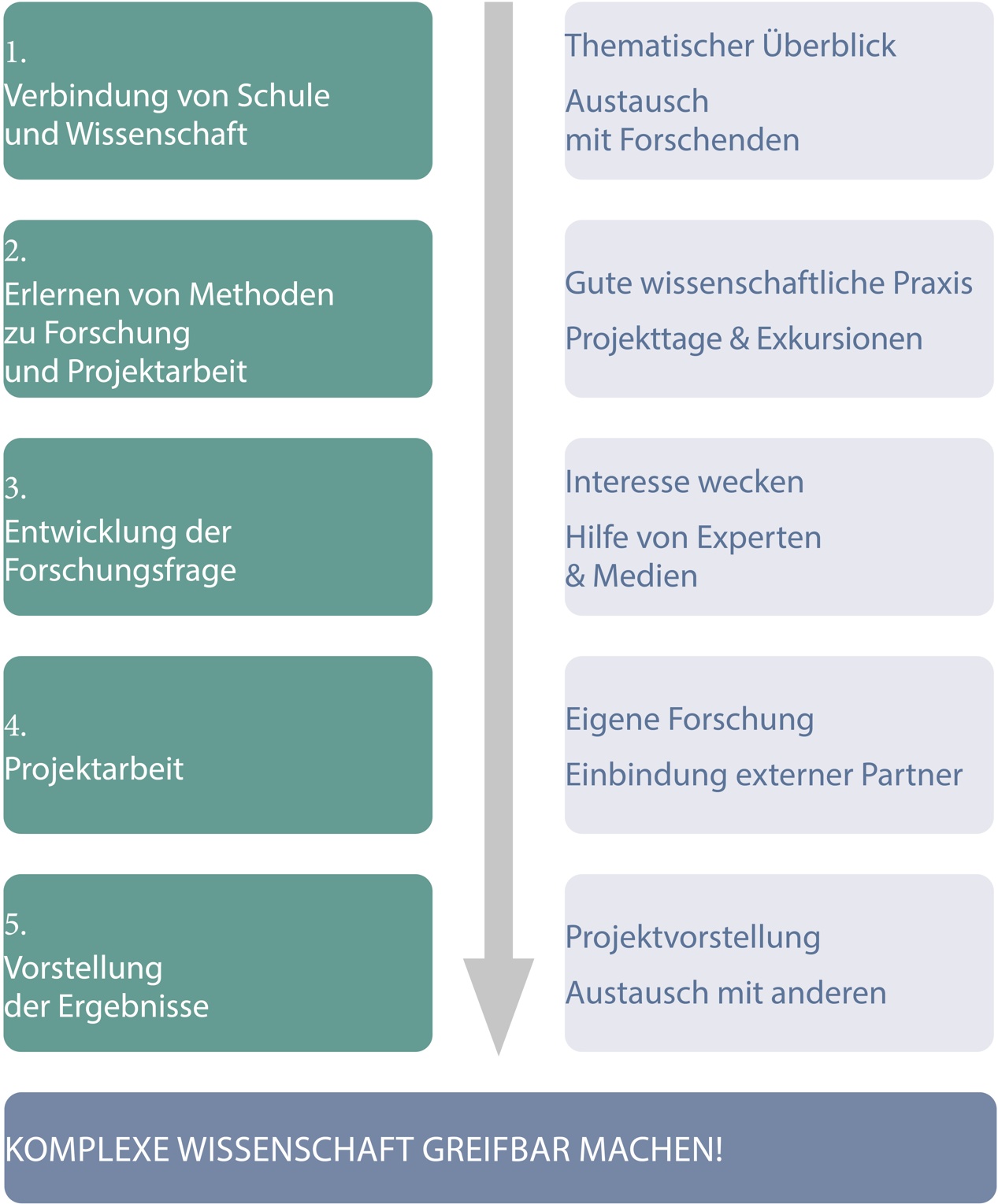 Phasen des Profilseminars Sensorik und Medizin, welche gemeinsam von Lehrkraft, Forschenden und IPN entwickelt wurden. Das übergreifende Ziel, komplexe Wissenschaft greifbar zu machen, entstand aus der engen Zusammenarbeit mit Forschenden und kann je nach Seminarausrichtung individuell gesetzt werden.