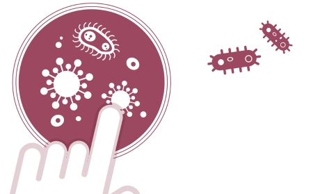 Evolutionsprozesse im Biologieunterricht erlebbar machen