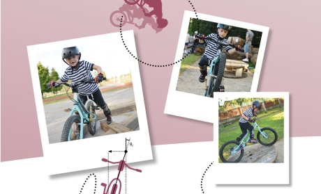 Crosscutting Concepts