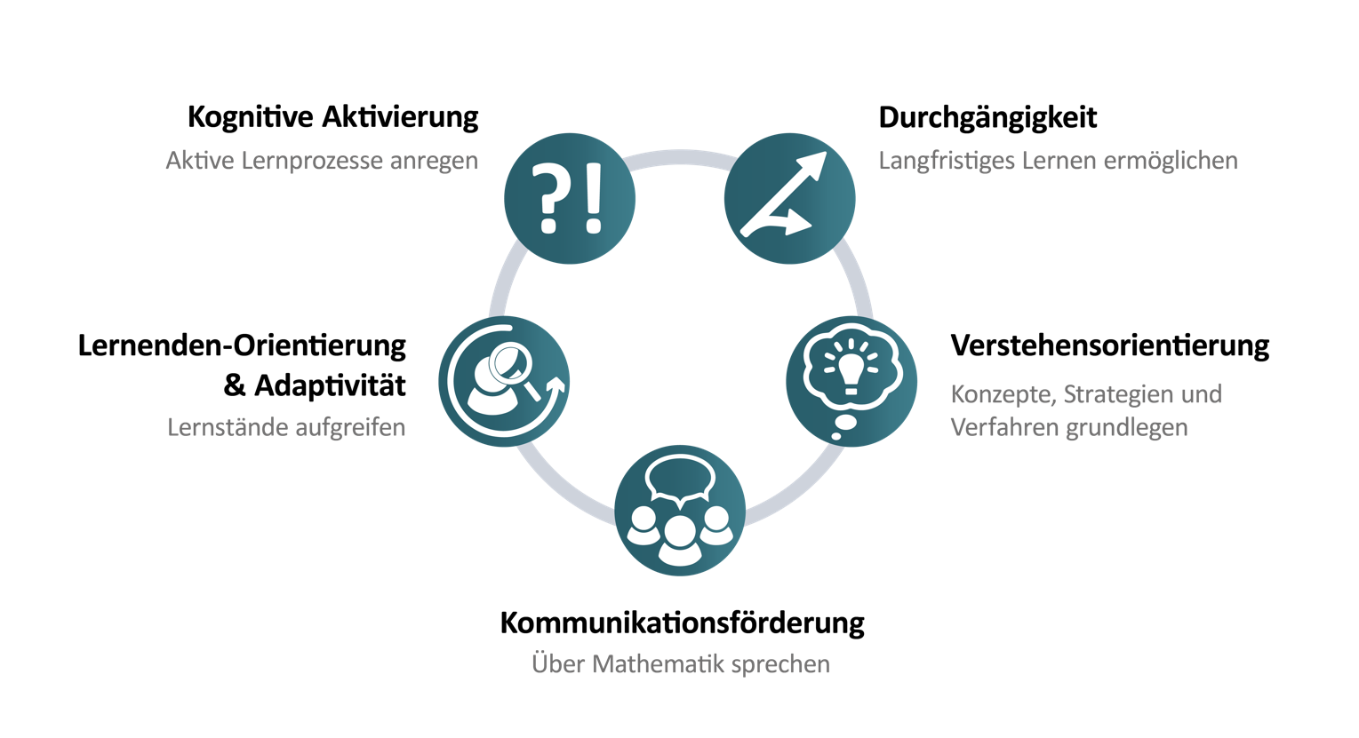 Eine grafische Darstellung der QuaMath Prinzipien mit Icons.