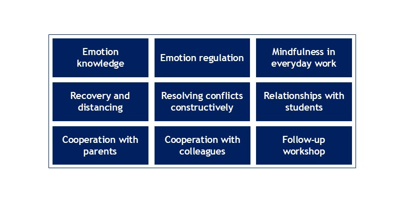 Subject areas of the SchuMaS training series
