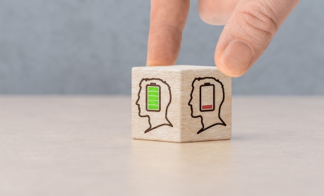 Between Burnout and Job Satisfaction